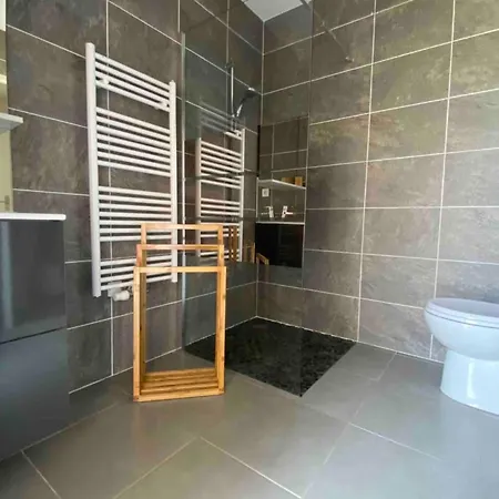 Air-conditioned House In The Arcachon Style With Swimming Pool בית נופש *