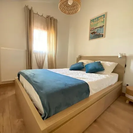 Air-Conditioned House In The Arcachon Style With Swimming Pool