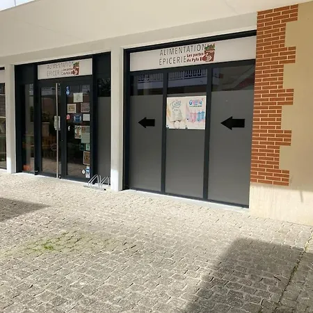Air-Conditioned House In The Arcachon Style With Swimming Pool * La Teste-de-Buch