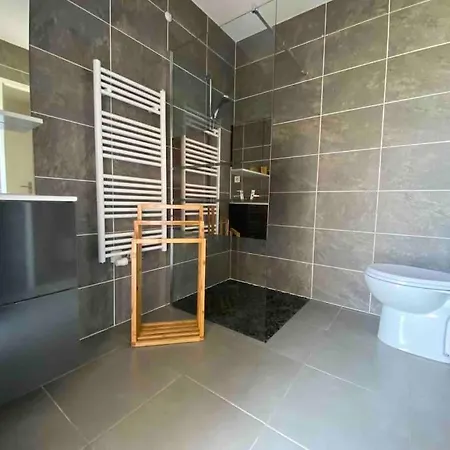 Maison Typee Arcachonnaise Avec Piscine Commune