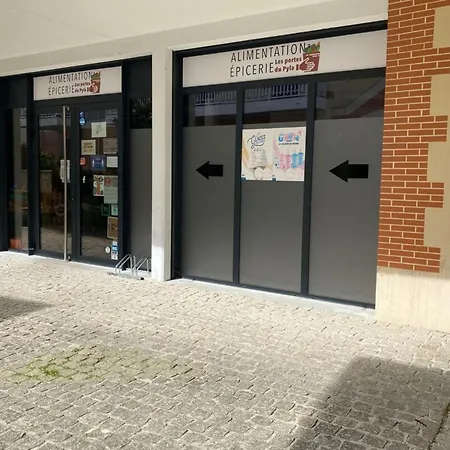 Air-conditioned House In The Arcachon Style With Swimming Pool Tatil Evi