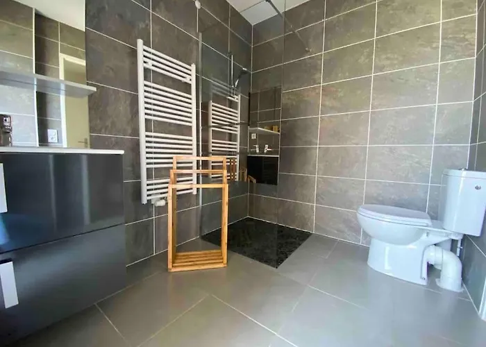 Maison Typee Arcachonnaise Avec Piscine Commune