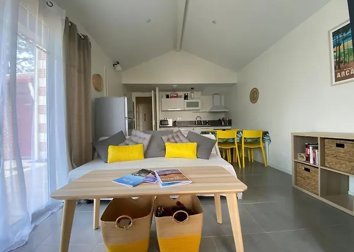 Air-Conditioned House In The Arcachon Style With Swimming Pool Casa de Férias La Teste-de-Buch