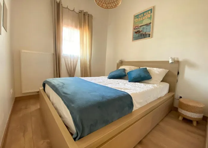 Tatil Evi Air-conditioned House In The Arcachon Style With Swimming Pool La Teste-de-Buch