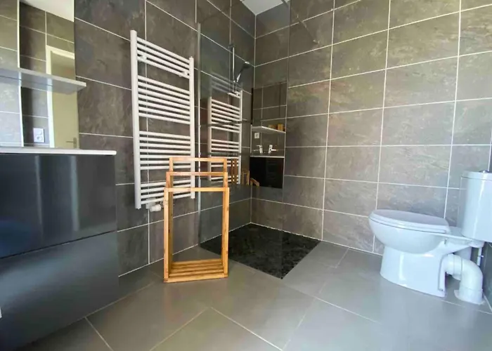 Air-conditioned House In The Arcachon Style With Swimming Pool Tatil Evi *